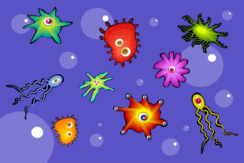 bakterie-symbiotyczne-jelito
