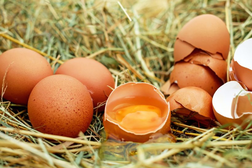 Skorupki od jajek mogą mieć wiele zastosowań w ogrodzie