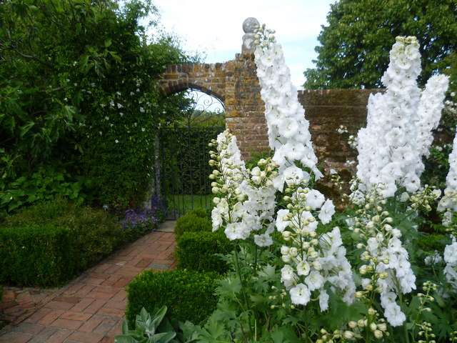 10 bylin kwitnących na biało- stwórz z nimi piękny biały ogród