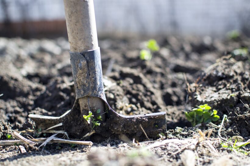 Wykorzystanie glebogryzarki w ogrodzie negatywnie wpływa na glebę